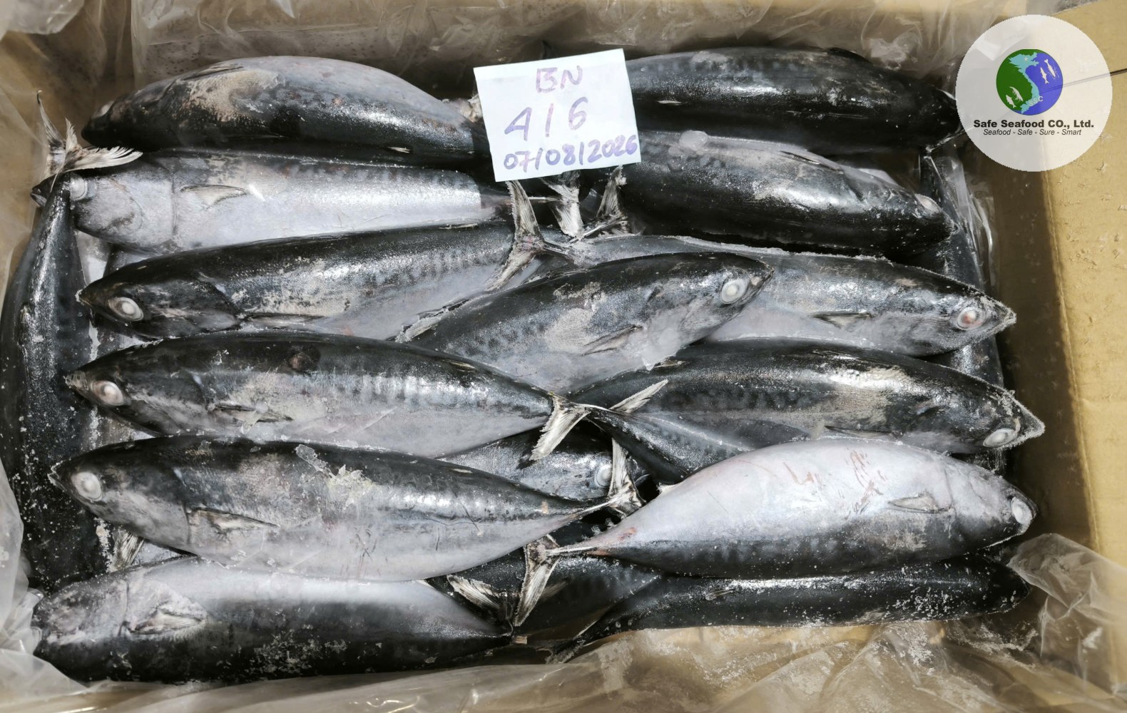 BULLET TUNA