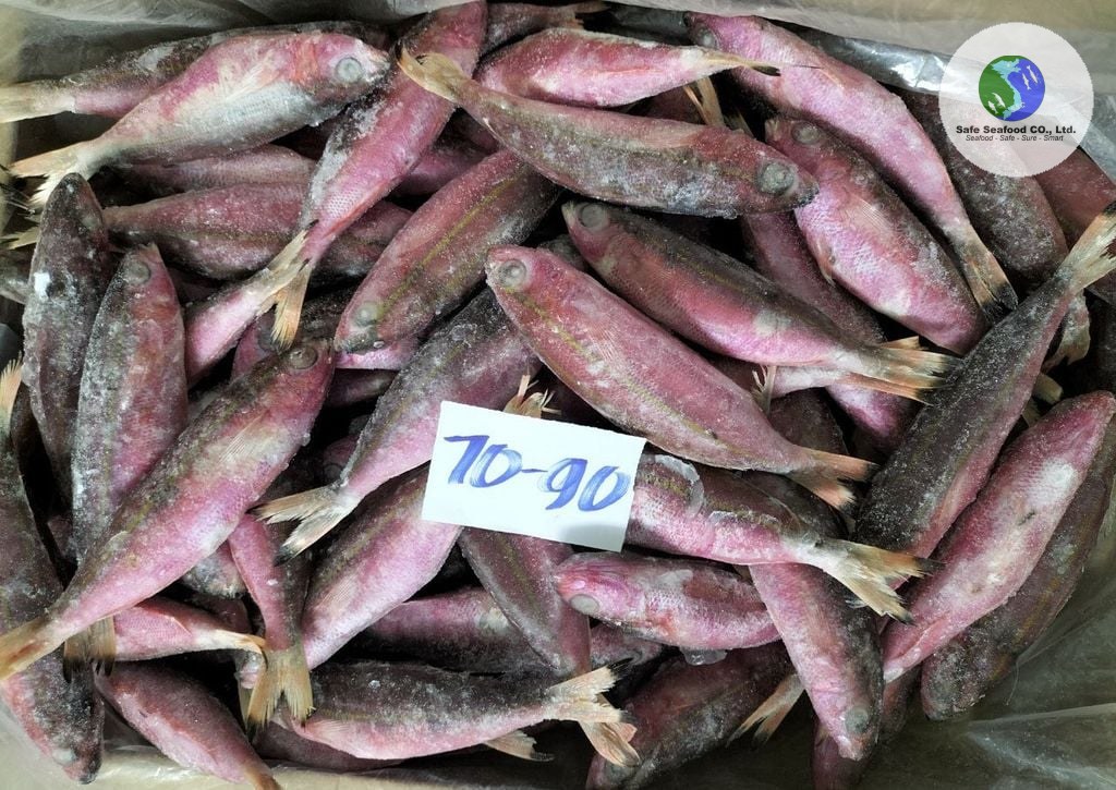 REDTAIL FUSILIER - SafeSeafood Vietnam