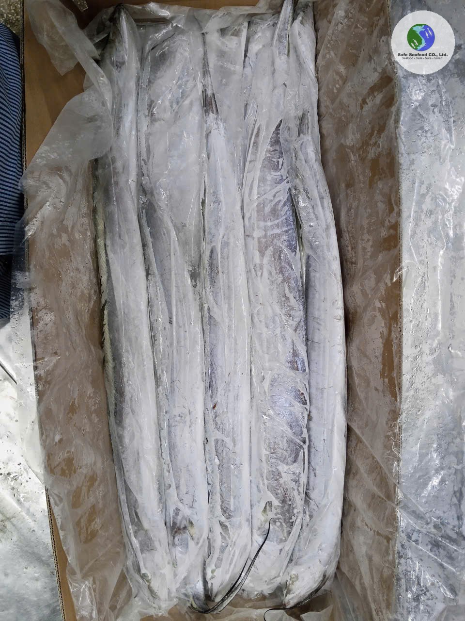 HARDTAIL/RIBBON FISH - SafeSeafood Vietnam