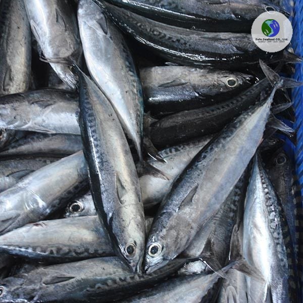 KAWAKAWA - SafeSeafood Vietnam